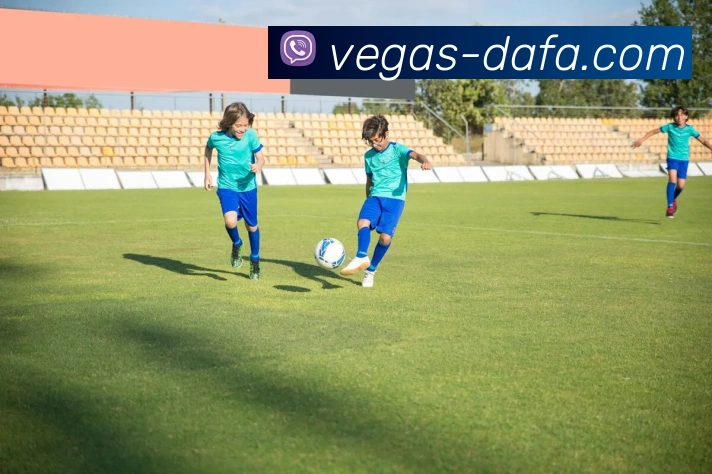 大发彩票APP 封面图